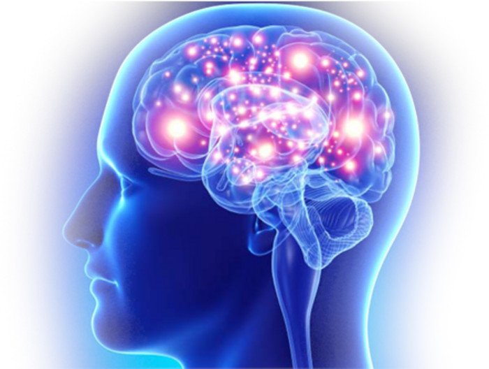 Neurodrine Supplement